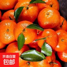 广西砂糖橘 新鲜薄皮蜜桔 当季水果 带箱5斤