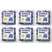 愉果 云南蓝莓 A+级 6盒大果18mm+ 单盒100-125g 产地直发
