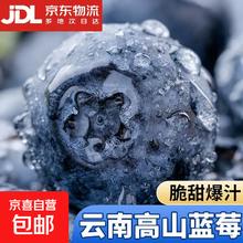 活动只有今天！蓝莓 精选果 4盒