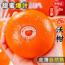 玫栀 云南高山沃柑 新鲜应季水果 5斤精品果 单果60-65mm 净4.5斤