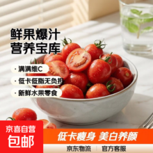 广西千禧圣女果小番茄 现摘现发 带箱4斤净重3.8斤 单果6g+