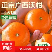 活动只有今天！广西沃柑 箱5斤