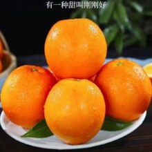 正宗江西赣南脐橙 赣州当季纽荷尔橙 60-70 带箱5斤装 礼盒