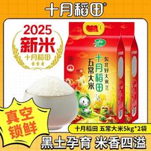 十月稻田 五常大米5kg*2