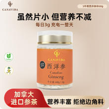 限移动端：大山行 西洋参小片 加拿大特级花旗参碎 Canavida系列 西洋参碎60g罐装