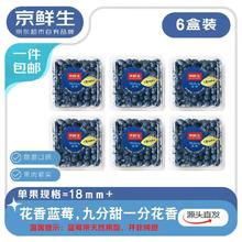 京鲜生 云南花香蓝莓18mm+ 6盒 净重100g/盒 生鲜水果 源头直发