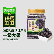 今日必买、88VIP：楼兰蜜语 一级桑葚干头茬大果300g