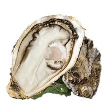 鲜海道 生蚝 鲜活乳山牡蛎贝类 源头直发 4XL-净重5斤 4XL-净重5斤