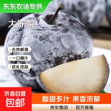 京喜加 东北冻梨 北果坊 正宗哈尔滨特产 大黑梨 净重2斤 大果250g+