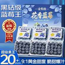山姆大叔 云南花香蓝莓王 7A级 125g*4盒 净400g 单果15-18mm