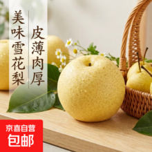京喜加 河北雪梨 赵县特产 冰糖雪梨煲汤烤梨 带箱1斤大果