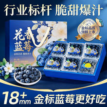 JDBMO 蓝莓新鲜云南花香蓝莓 4盒大果 单果18mm+ 净100-125g