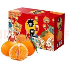 四川春见耙耙柑 4.5斤 单果80mm+【特大果】