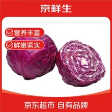 京鲜生 云南新鲜紫甘蓝 净重5斤/单果200g+