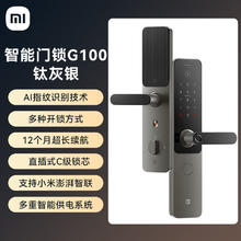 小米 智能门锁G100
