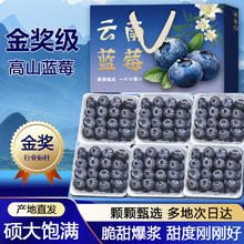 鲁道鲜 云南蓝莓 15mm+ 优选大果 6盒装 单盒100g