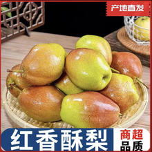 京喜加 新鲜爆甜红香酥梨 中果约2斤
