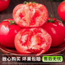 普罗旺斯西红柿沙瓤水果番茄 1斤净重