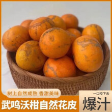 广西武鸣 花皮果沃柑 9斤大果 带箱新鲜现摘现发