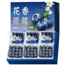 愉果 蓝莓 云南新鲜水果 18mm+精选大果 六盒装 单盒100-125g