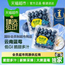 88VIP会员：怡颗莓 云南蓝莓 125g/盒