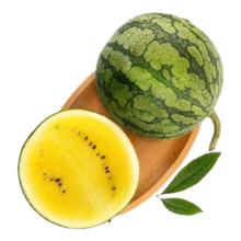 云南特小凤西瓜 1.5-2斤净重1.5斤+