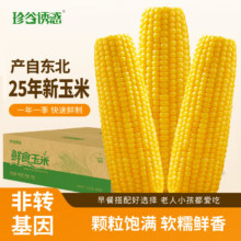 珍谷诱惑 黄糯玉米棒 10支 2.4kg 东北新玉米 粗粮代餐零食