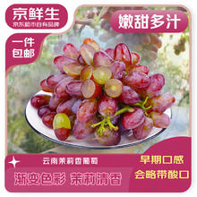 京鲜生 云南茉莉香葡萄 1斤