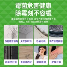 Seaways 水卫士 除霉清洁剂 480g*2瓶
