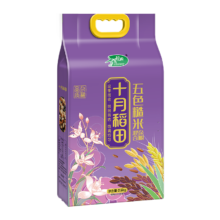 十月稻田 五色糙米2.5kg 东北杂粮糙米饭 黑米红米燕麦米小麦仁 糙米