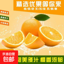 江西赣南脐橙 赣州产地直发 9斤净重（85-95mm带箱10斤大果）京东快递