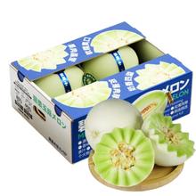 MPPMCK 海南 冰淇淋 玉菇甜瓜 4.5斤装（2-3个）