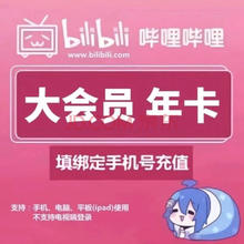 bilibili 大会员12个月B站12个月bilibili年卡