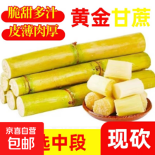 乐磊A 黄金甘蔗 带箱3斤优选