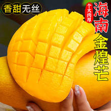 生活＆好管家 海南芒果金煌芒 新鲜水果 9-10斤热卖装 单果200g+ 净重9斤