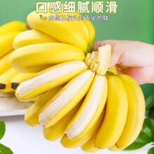 财敏生鲜 高山香蕉 带箱1斤