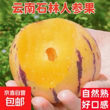 京顶鲜 云南石林人参果 3斤装 单果50-70g 净重2.6斤