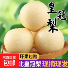 远达新11 皇冠梨 河北带箱1斤 当季甜脆冰糖梨