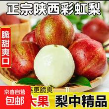 京喜加 陕西红啤梨彩虹梨 清脆可口 带箱约2斤 净果1.7斤