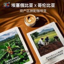 SCA 80+！FS2C 黑巧森林 意式拼配深度烘焙精品咖啡豆 450g*2件