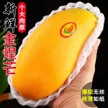 元珍鲜诚 贵妃芒果 5斤装 净果4.5斤 单果100g-230g+
