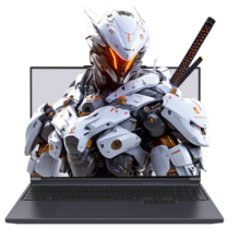 微信小程序、PLUS：机械革命 极光X 16英寸 i5-14450HX RTX5050 180Hz 游戏本 16G 512G 灰色
