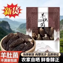 天降礼金：果官宣 头茬羊肚菌干货 10g*1包 约20根