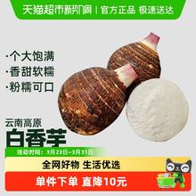 88VIP会员：鲜蜂队 云南 荔浦芋头 白香芋大果 5斤