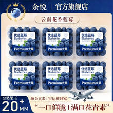 余悦 云南蓝莓 现摘国产高山花香蓝莓 125g/盒（净100g）单果15mm+ 4盒