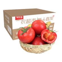京农超 攀枝花西红柿 5斤装 净重4.5斤 单果100-140g