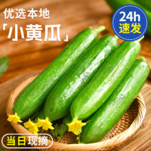 京鲜生 水果黄瓜 净重4斤 单根70g+ 荷兰小青瓜