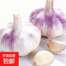 东东买菜大蒜头 精品大蒜 5-6头200g 商用调味料蒜瓣蔬菜