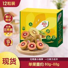 佳沛 新西兰 新果季 宝石 红奇异果 12粒 单果80-88g 猕猴桃