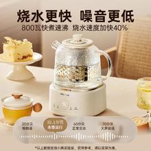 小熊 全玻璃养生壶家用多功能煮茶烧水壶2024